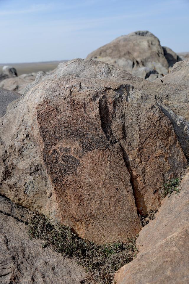 -内蒙古“草原之路”上的动物岩画，隐藏着古代游牧岁月的秘密-第6图