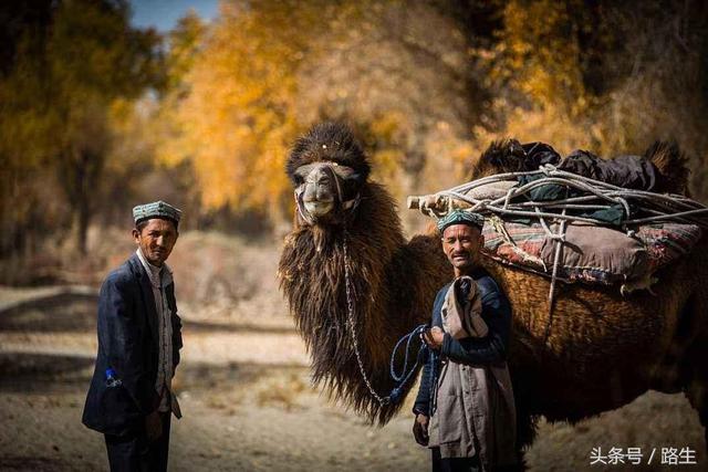 维吾尔-维吾尔民族划分的历史问题：当年天山南北很多人可能都不是畏兀儿-第5图