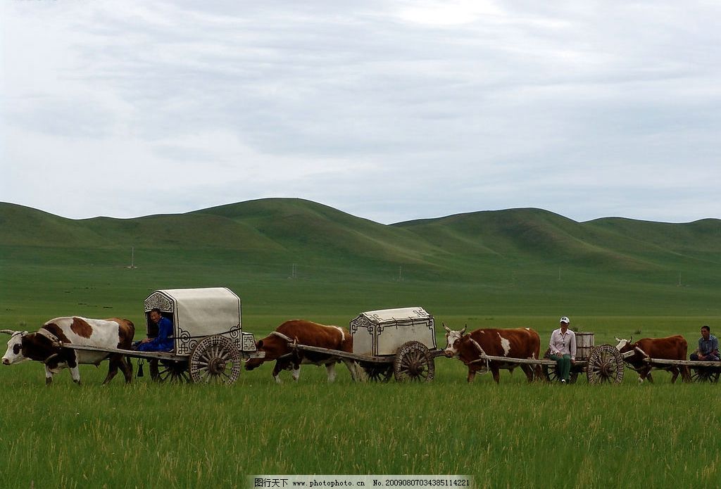 新疆北部阿尔泰游牧生活