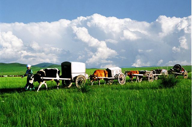 勒勒车与古代草原上的高车人-民族史