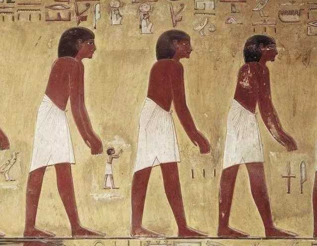古埃及是什么人种